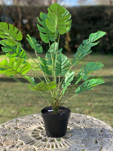Imagen 7 de 10 de Planta Artificial Costilla De Adán Decoración 55 Cm