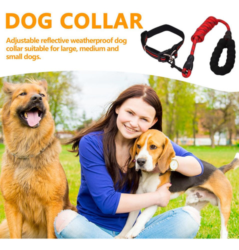 Collar Reflectante Para Perros Collar Para Perros Pequeños C