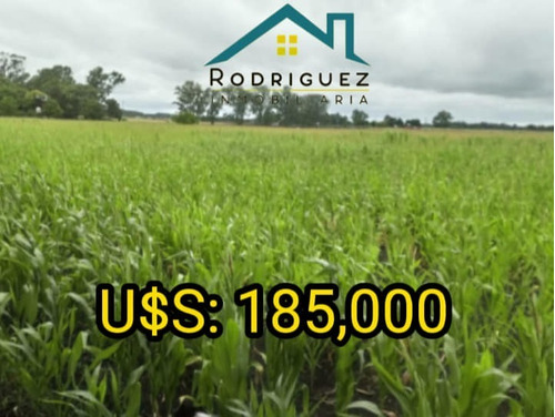 Imagen 8 de 8 de Campo 8 Hectáreas Las 3 Lomas En Gral: Madariaga