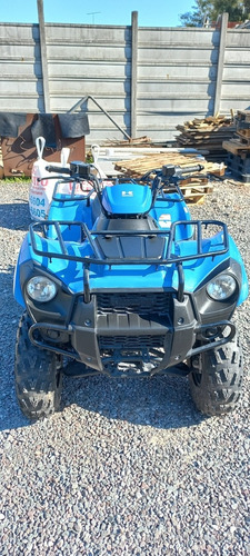 Imagen 3 de 5 de Kawasaki Brute Force 300