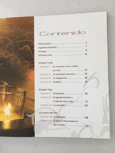 Construye Tu Sueño. Hazlo Realidad. Alonso León. Leoncosmico (Usado)