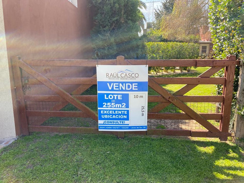 Hermoso Terreno En Zona Desarrollada