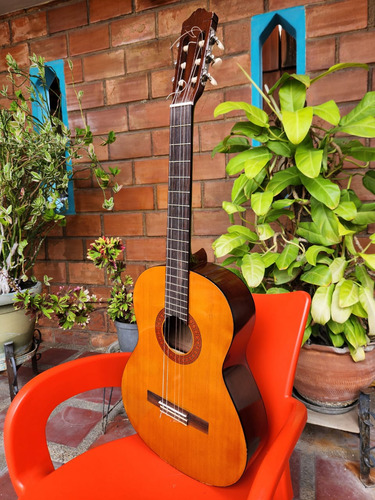 Guitarra Yamaha C40 Acustica + Forro