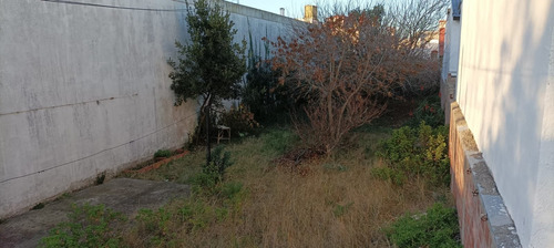 Imagen 7 de 10 de Lote En Mar De Ajo