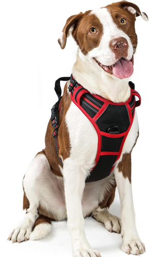 Arnés Para Perro Rabbitgoo, Sin Tirones, Ajustable, Talla L