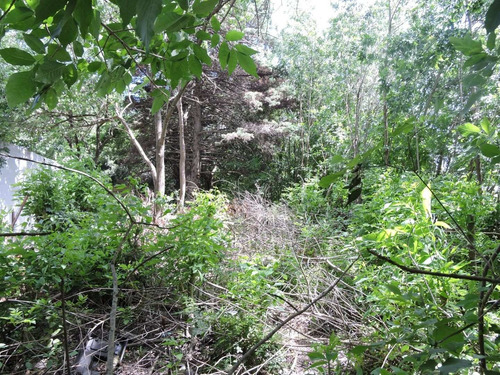 Imagen 4 de 9 de Lote De 12x62 En Veronica Punta Indio