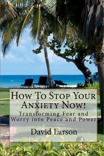 How To Stop Your Anxiety Now, De David A Larson Ms. Editorial Createspace Independent Publishing Platform, Tapa Blanda En Inglés