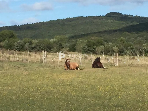 Venta De 384 Hc Próximo A Sierra De Carapé