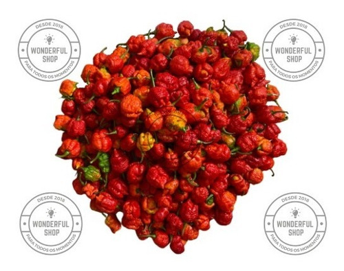 Pimenta Fresca Carolina Reaper Fruta In Natura - 500 Gramas