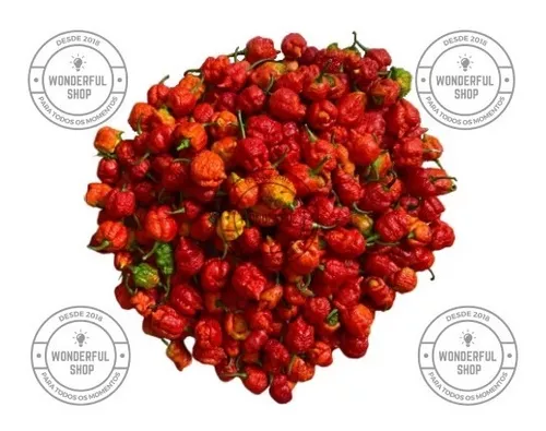 12 Pimentas Carolina Reaper 100 Ml + 2 Carolina Reap 60 Ml