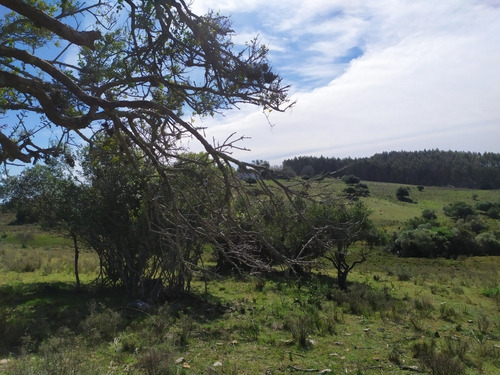 Chacras En Minas !!!!