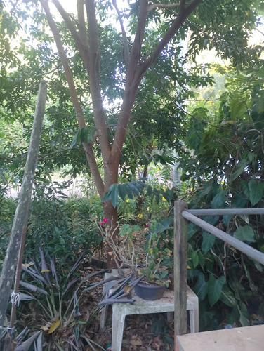 Casa Com 2 Quartos