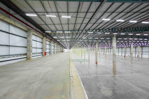 Imagem 7 de 26 de Galpão Para Alugar, 6297 M² Por R$ 170.030,00/mês - Santa Maria - Santa Maria/df - Ga0910