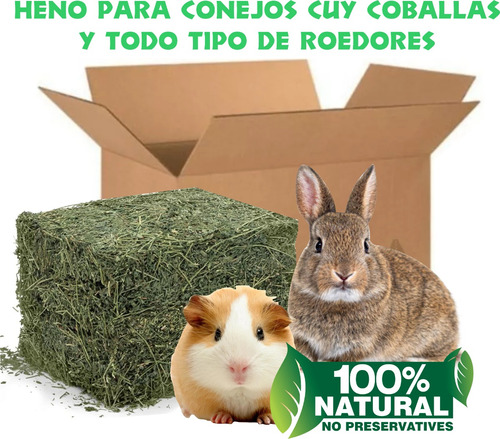 Heno D Alfalfa Natural Roedores Conejo Cuy Chinchilla 3.2 Kg