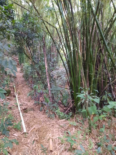 Imagem 21 de 30 de Chácara Em Parque Xerém, Duque De Caxias/rj De 710000000m² 2 Quartos À Venda Por R$ 400.000,00 - Ch1040246-s
