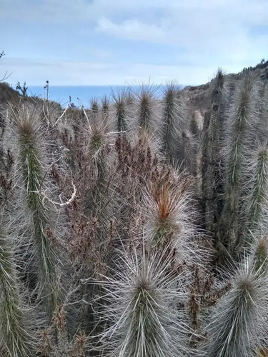 Terreno Arrayán Costero La Serena