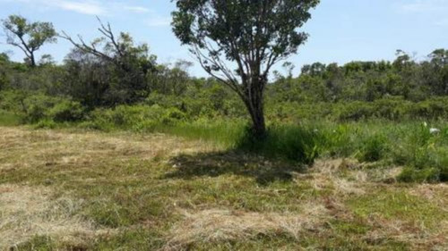 Imagem 11 de 14 de Chácara Com 5.050m², Com 02 Dormitórios Em Itanhaém/sp