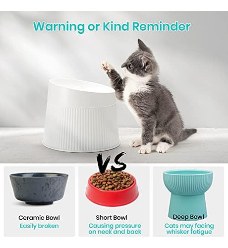 Ipettie Tazón Elevado Para Comida Para Gatos Plato Para Gato