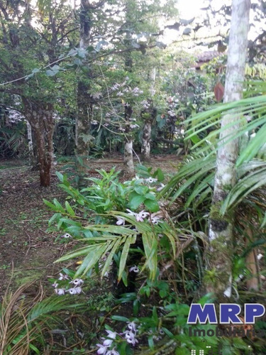 Imagem 17 de 19 de Ch 00013 - Chácara Em Ubatuba, Com Pousada, Tipo Chalé, 4 Apartamentos, Aproximadamente 2 Km Da Praia Do Sapê. - Ch00013 - 4853134