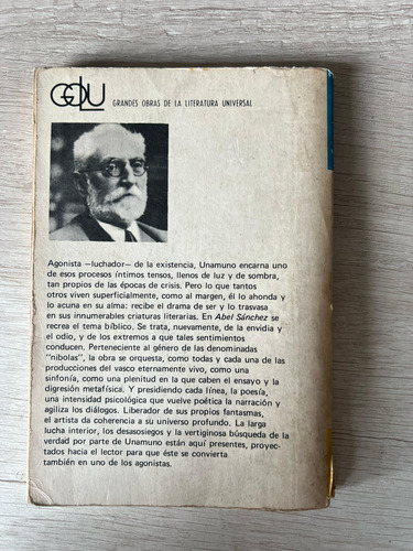 Abel Sánchez - Miguel De Unamuno