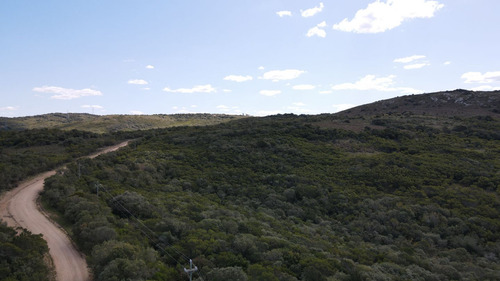 Campo En Rocha De 137ha (ref: Atm-6803)