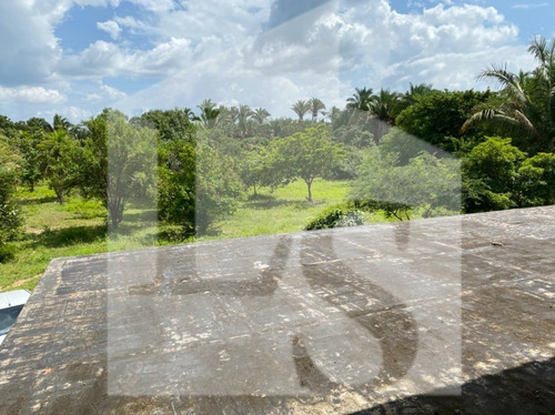 Imagem 2 de 3 de Oportunidade - Sitio No Bairro Santa Luz - St00009 - 70249390