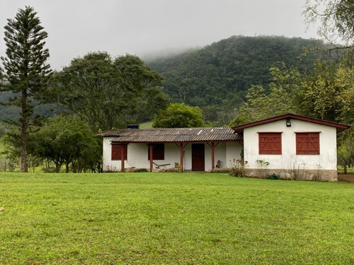 Chácara 19.000 M² - Santa Cruz - Gravataí - Rs - 2447 - 68463646