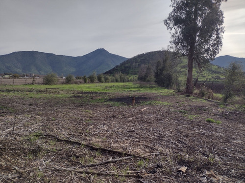 Terreno De 4 Ha Con Luz ,despejado, Excelente Ubicaci