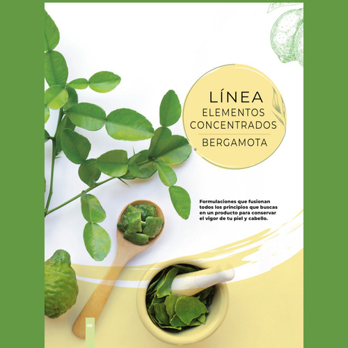 2 Shampoo Bergamota 1lt + 2 Tónicos + Crema + Acondicionador