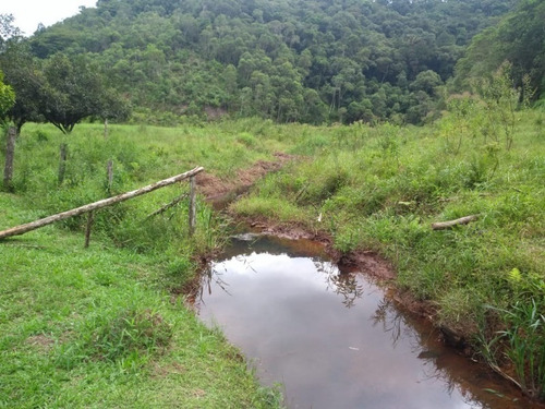 Imagem 10 de 30 de Fazenda - Fa00004 - 67650297