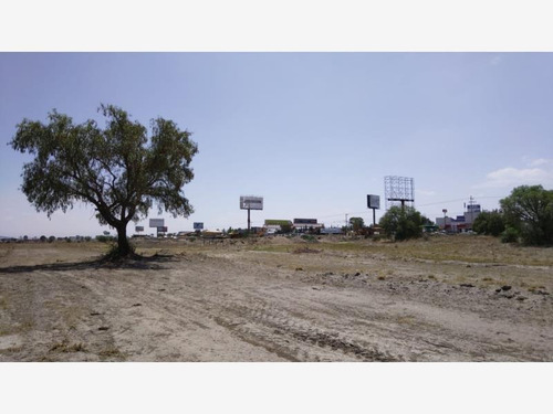 Imagen 7 de 7 de Terreno En Venta General Felipe Angeles