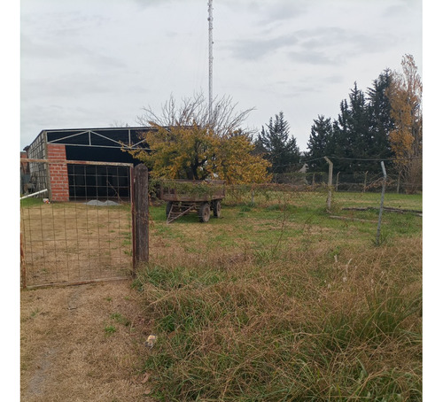 Lote En Saladillo. Zona Comercial Y Sobre Avenida