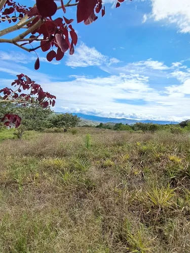 Finca En Restrepo Valle