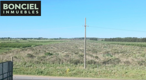 Muy Buen Terreno Logístico Ruta 5 K32 En Plena Rotonda