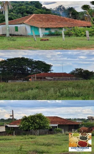 Imagem 12 de 14 de Fazenda À Venda Em Caampo Grande -ms - De 3.417,48 Hectares (dupla Aptidão) - 1626