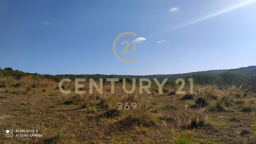 Imagen 13 de 19 de Se Vende Muy Lindo Campo Con Cañada !!