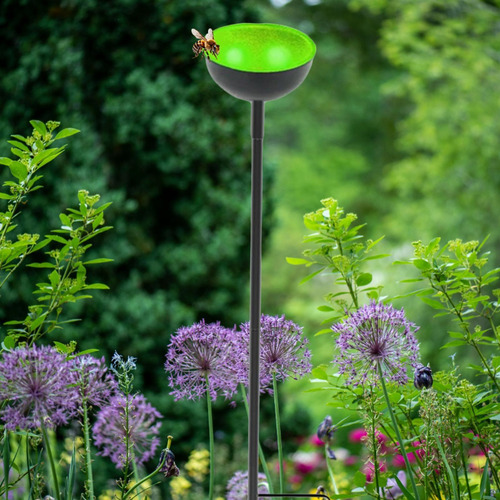 Estaca Para Comedero De Abejas, Cuenco De Agua Para Verde