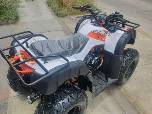 Imagen 15 de 25 de Cuatrimotos Azelli Bull 200cc Automatica 0 Klm 2022 Oferta