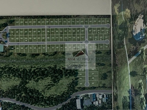 Terreno A Venda No Bairro Ratones Em Florianópolis - Sc. - 4218-1