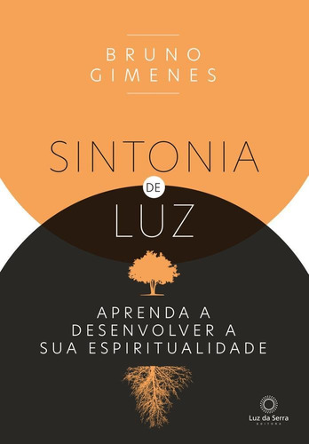 SINTONIA DE LUZ: Aprenda a desenvolver a sua espiritualidade, de BRUNO GIMENES. Editora LUZ DA SERRA EDITORA LTDA, capa mole em português