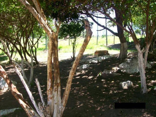 Sítio Com 4 Dormitórios À Venda, 49500 M² Por R$ 2.700.000,00 - Fazenda Monte D Este - Campinas/sp - Si0048