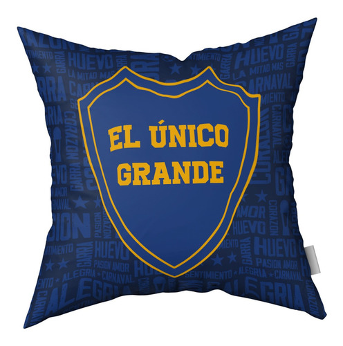 Imagen 3 de 3 de Combo Almohadones Almohadón Azul Y Oro Vellon Desmontable