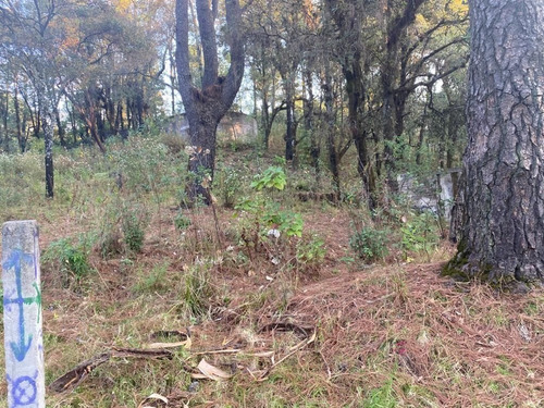 Imagen 6 de 8 de Gran Terreno En Zona Arbolada En Paraje Cuacuametla, Huitzil