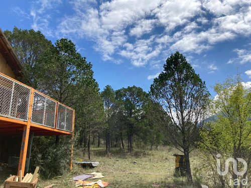 Venta Terreno 0 Ambiente Los Lirios