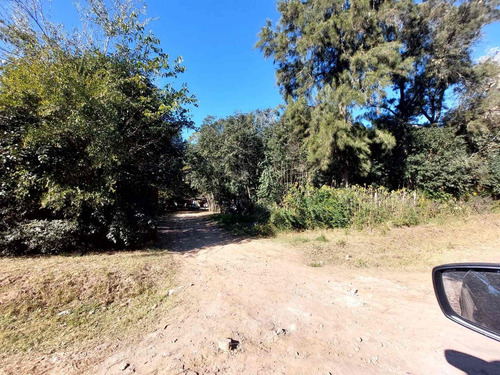 Imagen 3 de 4 de Venta De Lote En Loma Verde