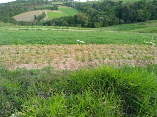Imagem 1 de 30 de 20o Terreno A Venda Para Investimento