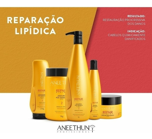 Aneethun Repair System Shampoo 1l E Máscara 1 Kg Pós Quimica