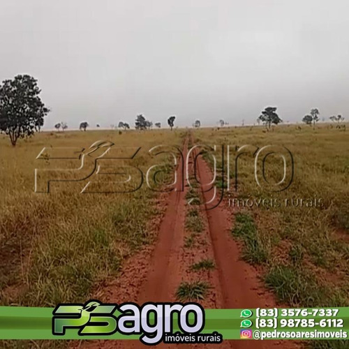 Imagem 7 de 8 de Fazenda À Venda, 1.500 Alqueires Por R$ 48.000.000 - Zona Rural - Chapadão Do Sul/ms - Fa0170