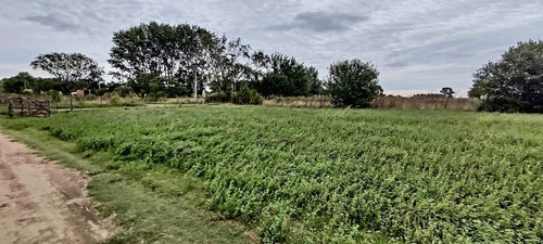 Chacra De 4 Ha. En Venta En San Andres De Giles