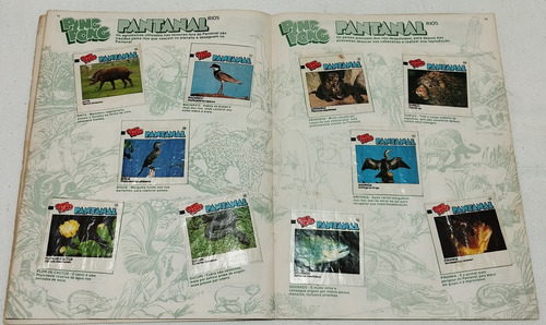 Album Figurinhas Ping Pong Pantanal Completo - 111 (Usado)